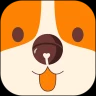 铃铛宠物社区app