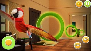 鹦鹉模拟器宠物世界3D图3